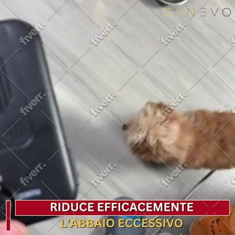 Image d'échantillon de travail