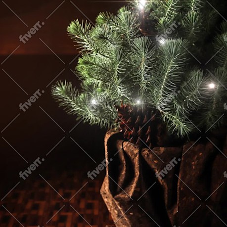 Imagem de amostra