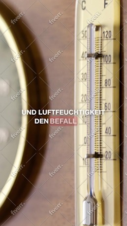 Werkvoorbeeld