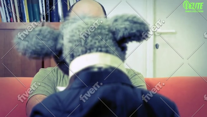 Immagine del campione di lavoro