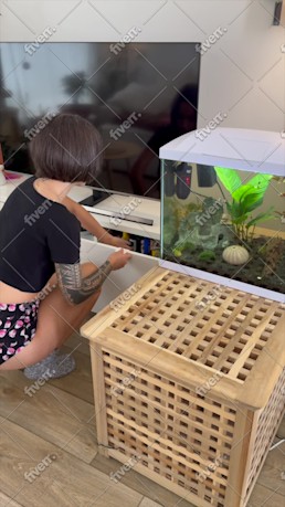Immagine del campione di lavoro