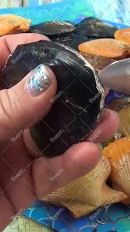 Imagem de amostra
