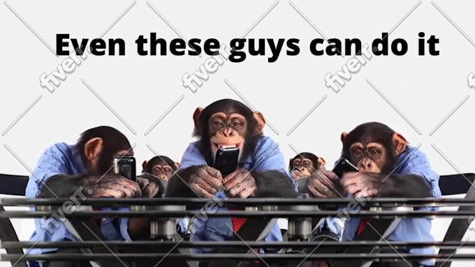 Immagine del campione di lavoro