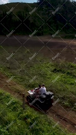 Immagine del campione di lavoro