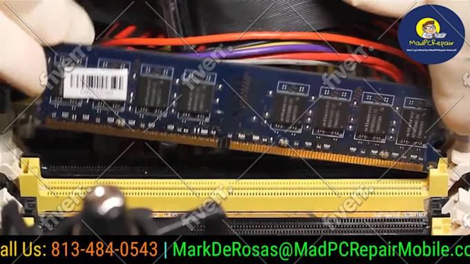 Immagine del campione di lavoro