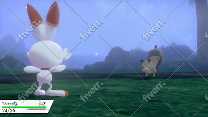 Bild des Arbeitsbeispiels