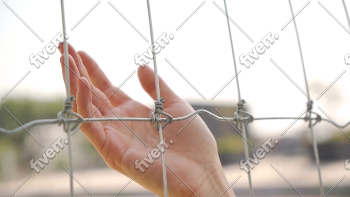Immagine del campione di lavoro