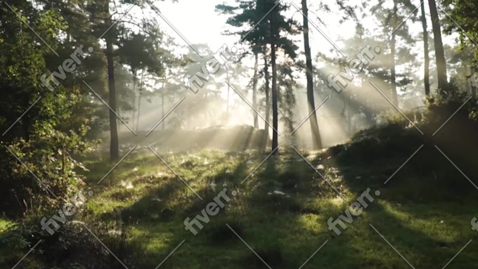 Image d'échantillon de travail