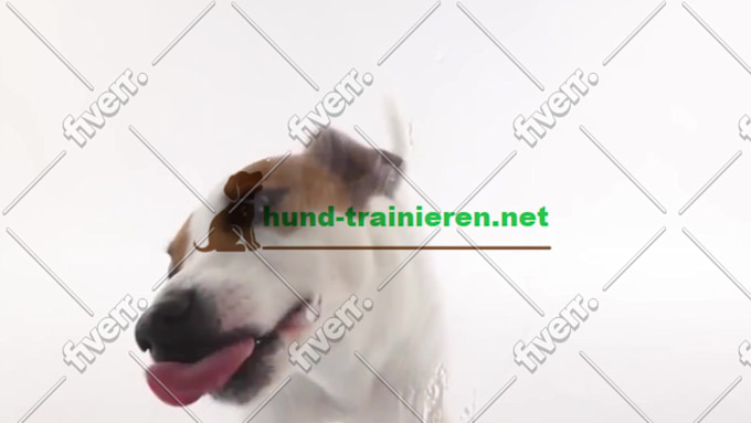 Bild des Arbeitsbeispiels