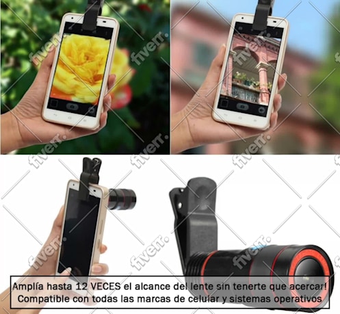 Immagine del campione di lavoro