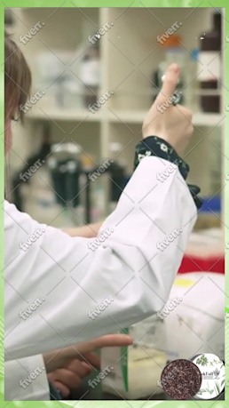 Imagen de muestra de trabajo