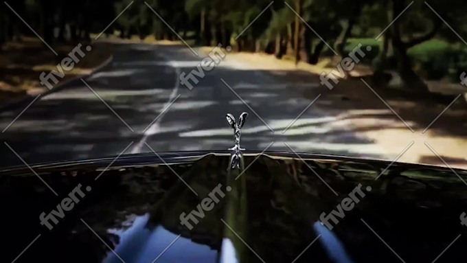 Imagen de muestra de trabajo