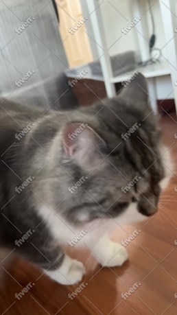 Imagem de amostra