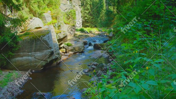 Image d'échantillon de travail