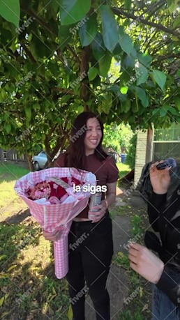 Immagine del campione di lavoro