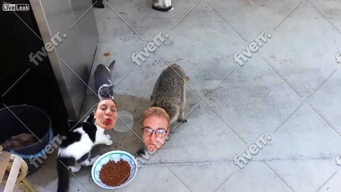 Immagine del campione di lavoro
