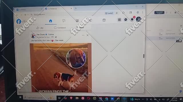 Immagine del campione di lavoro