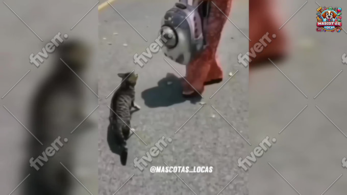 Immagine del campione di lavoro