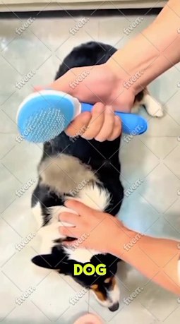 Imagem de amostra
