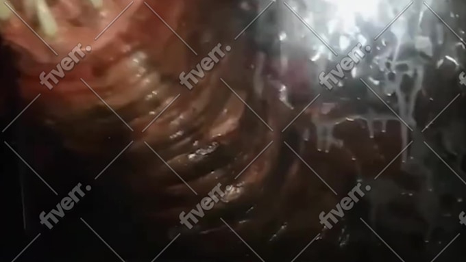 Imagem de amostra