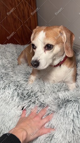 Bild des Arbeitsbeispiels