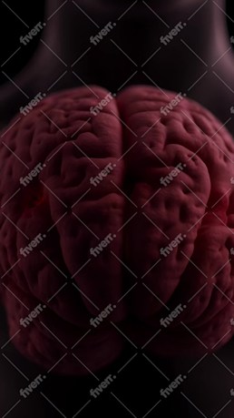 Imagen de muestra de trabajo