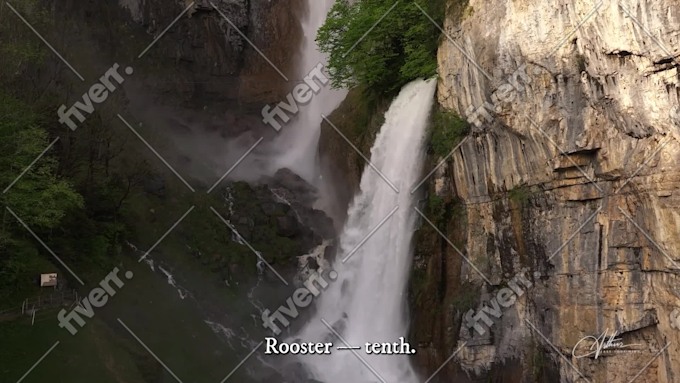 Imagem de amostra