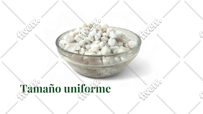 Immagine del campione di lavoro