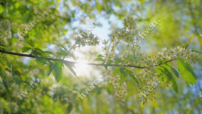 Image d'échantillon de travail