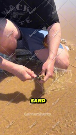Immagine del campione di lavoro