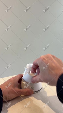 Immagine del campione di lavoro