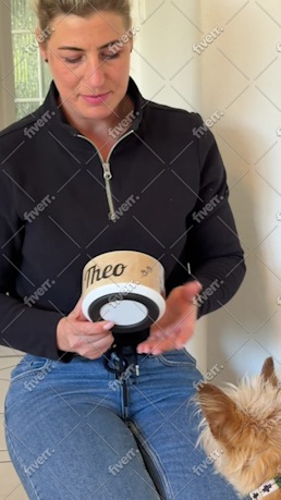 Immagine del campione di lavoro