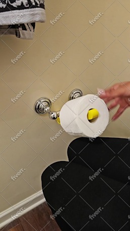 Immagine del campione di lavoro