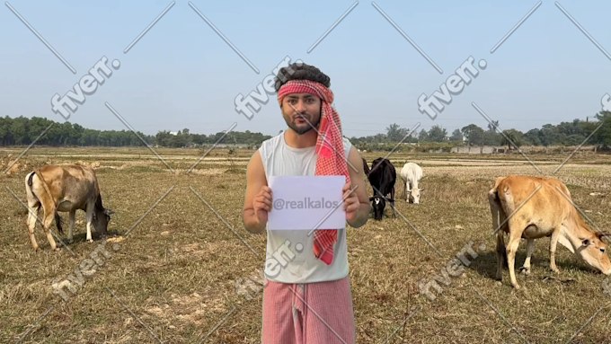 Immagine del campione di lavoro