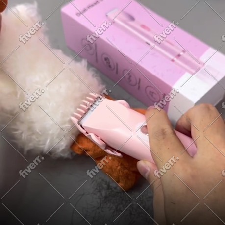Bild des Arbeitsbeispiels