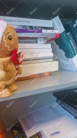 Immagine del campione di lavoro