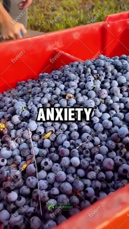 Imagem de amostra