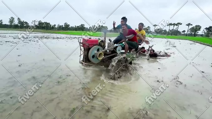 Immagine del campione di lavoro