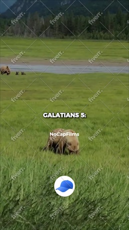 Imagem de amostra