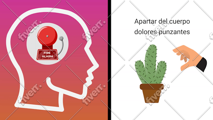 Immagine del campione di lavoro