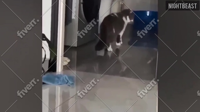Imagen de muestra de trabajo