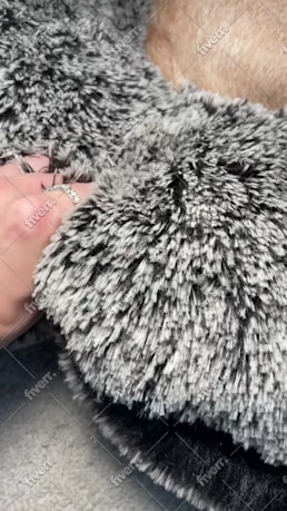 Bild des Arbeitsbeispiels