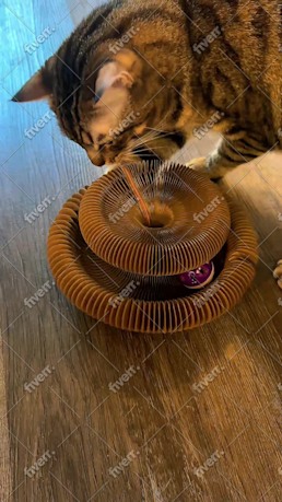 Bild des Arbeitsbeispiels