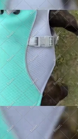 Immagine del campione di lavoro