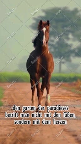 Imagem de amostra