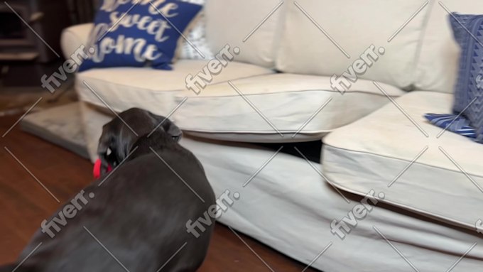Imagen de muestra de trabajo