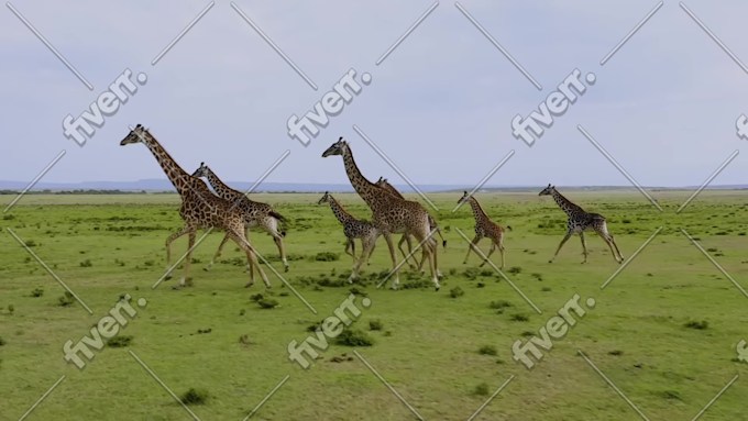 Imagem de amostra
