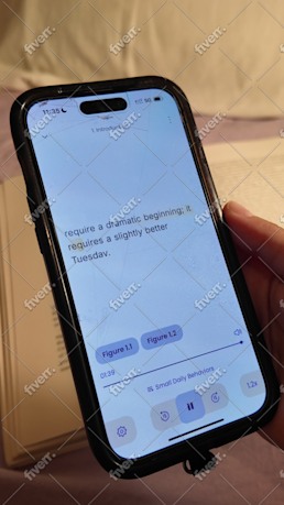 Imagen de muestra de trabajo