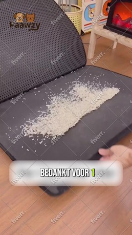 Bild des Arbeitsbeispiels