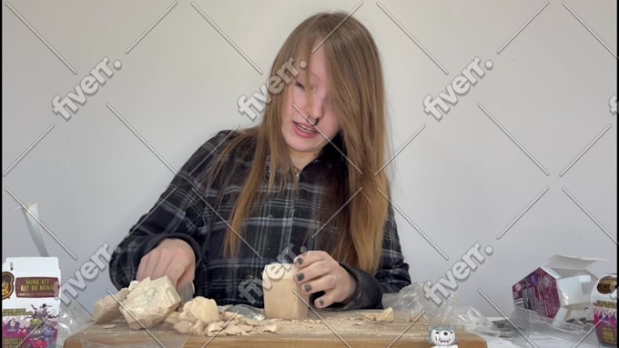 Immagine del campione di lavoro